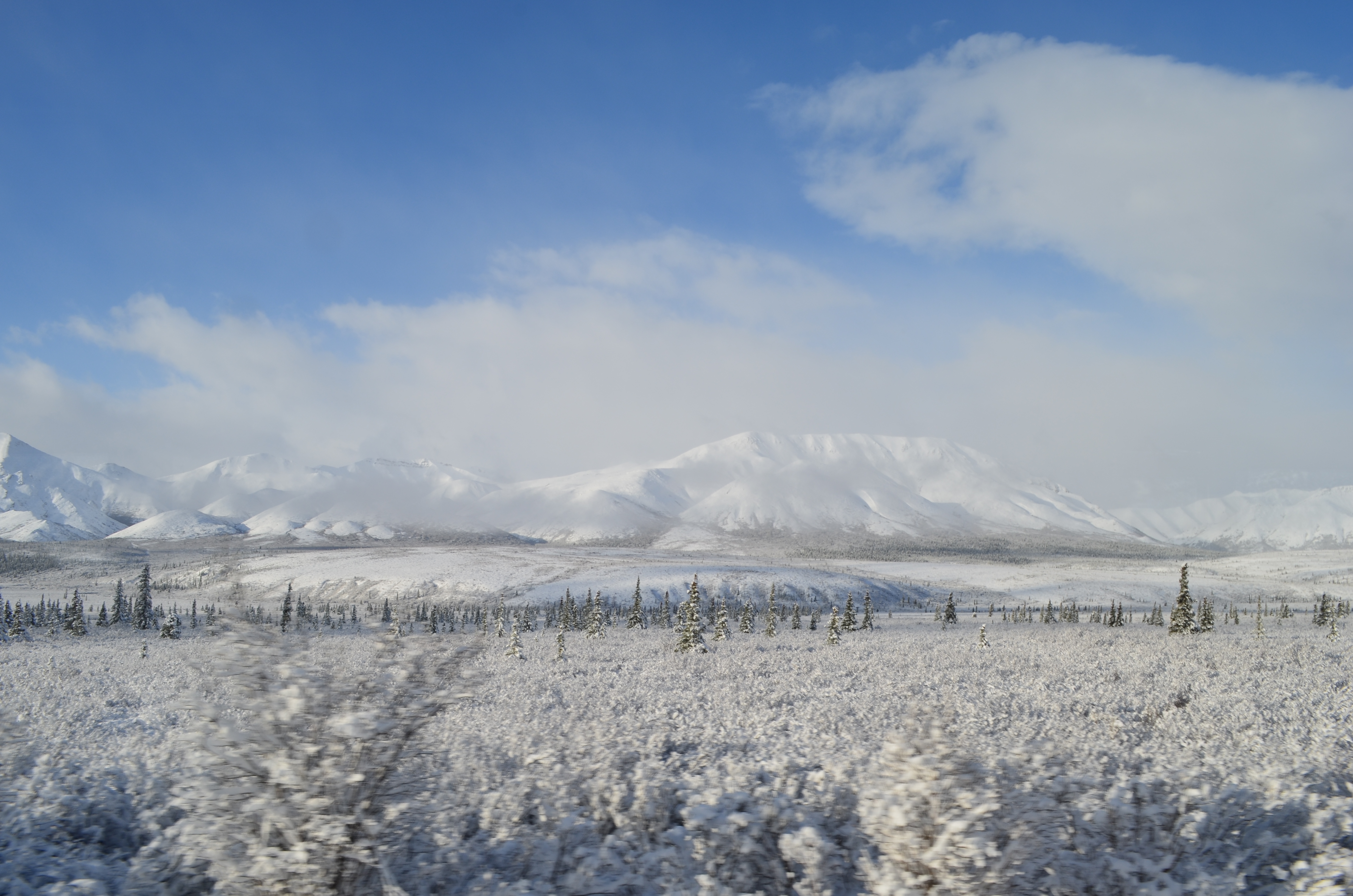 ./2017/08 - Alaska Cruise/03 - Denali/DSC_0220.JPG